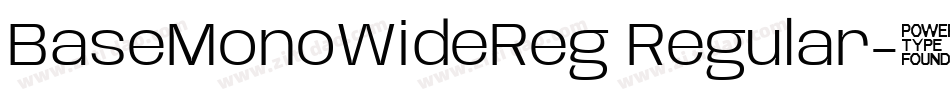 BaseMonoWideReg Regular字体转换